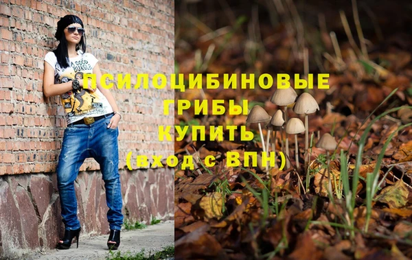 МДПВ Кукмор